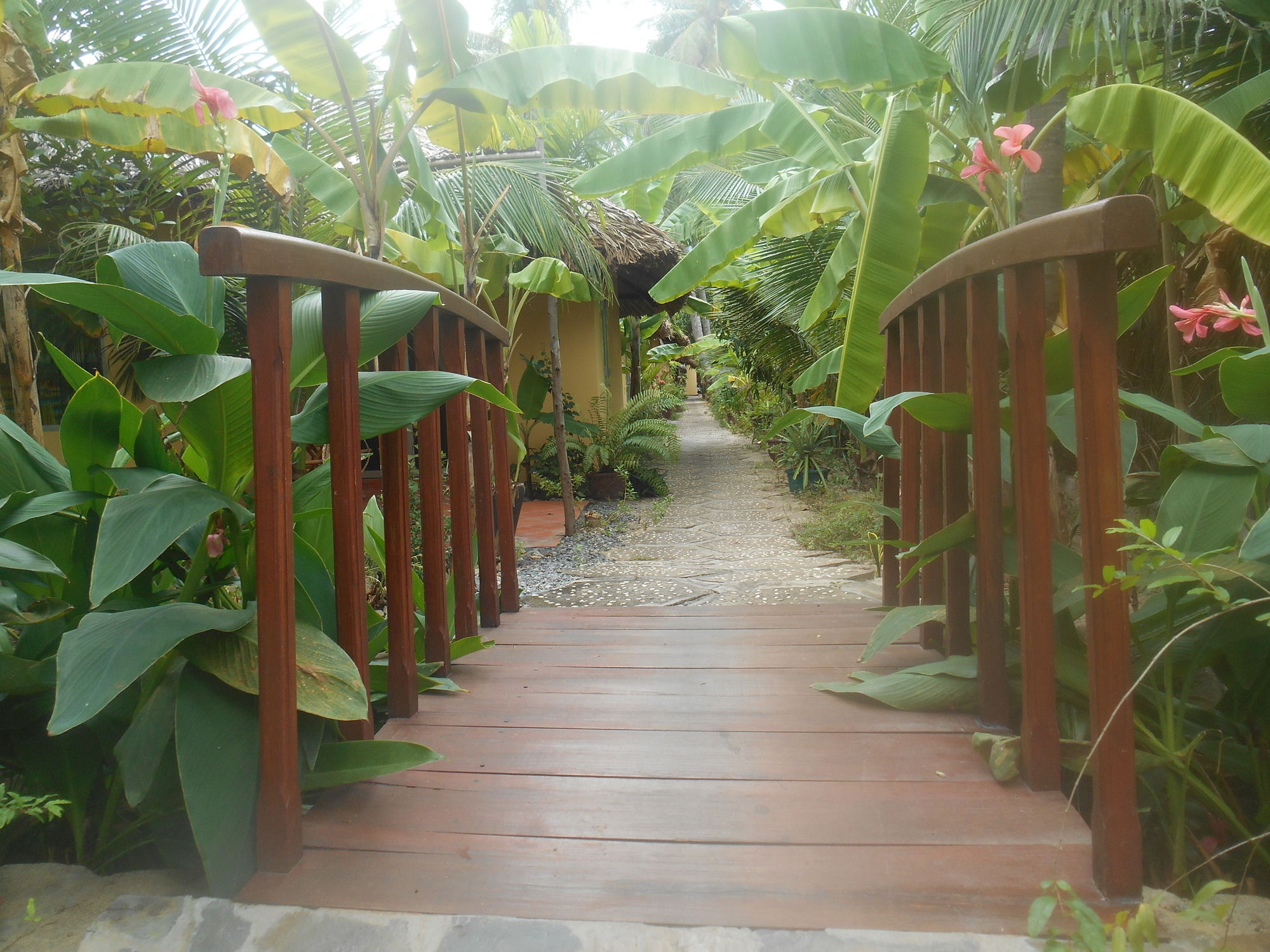 Фото Thuy - Gunter Garden Bungalow