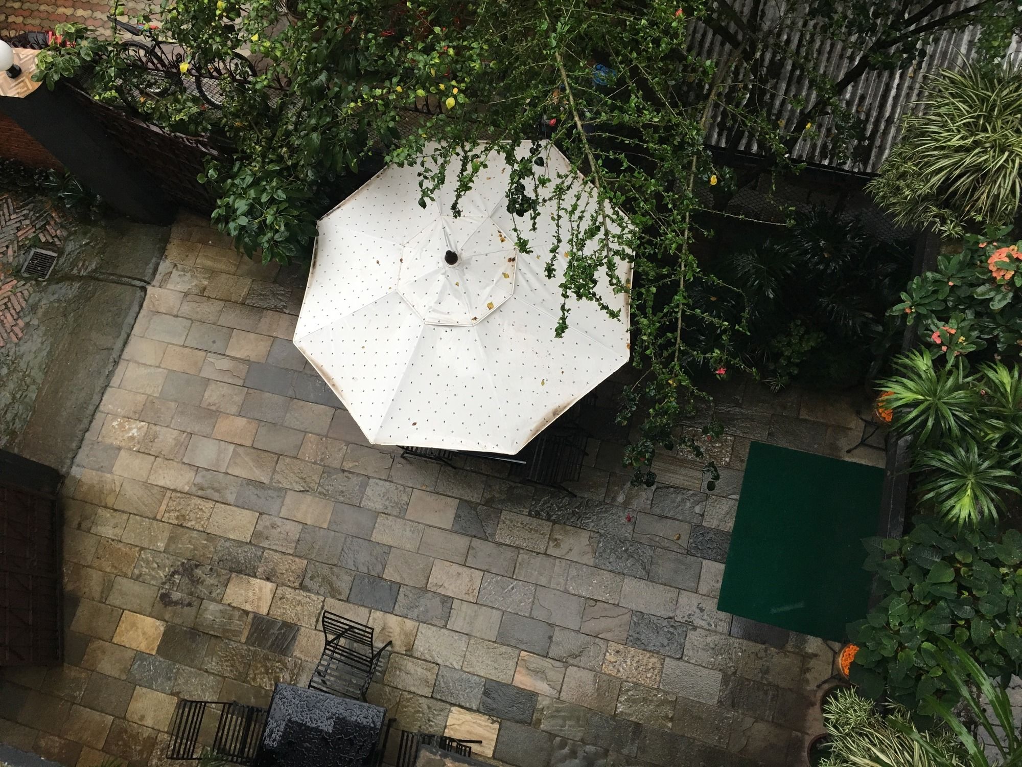 Фото Hotel Atlantic