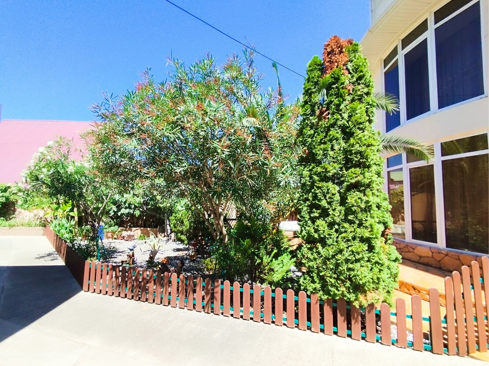 Фото Светлый Аллама групп