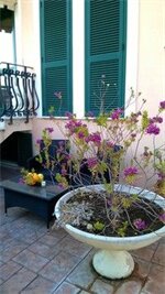 Фото Hotel La Villetta