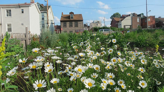 Associations and industrial unions Çasged - Çanakkale Sosyal Gelişim İzcilik Spor Kulübü, Canakkale, photo