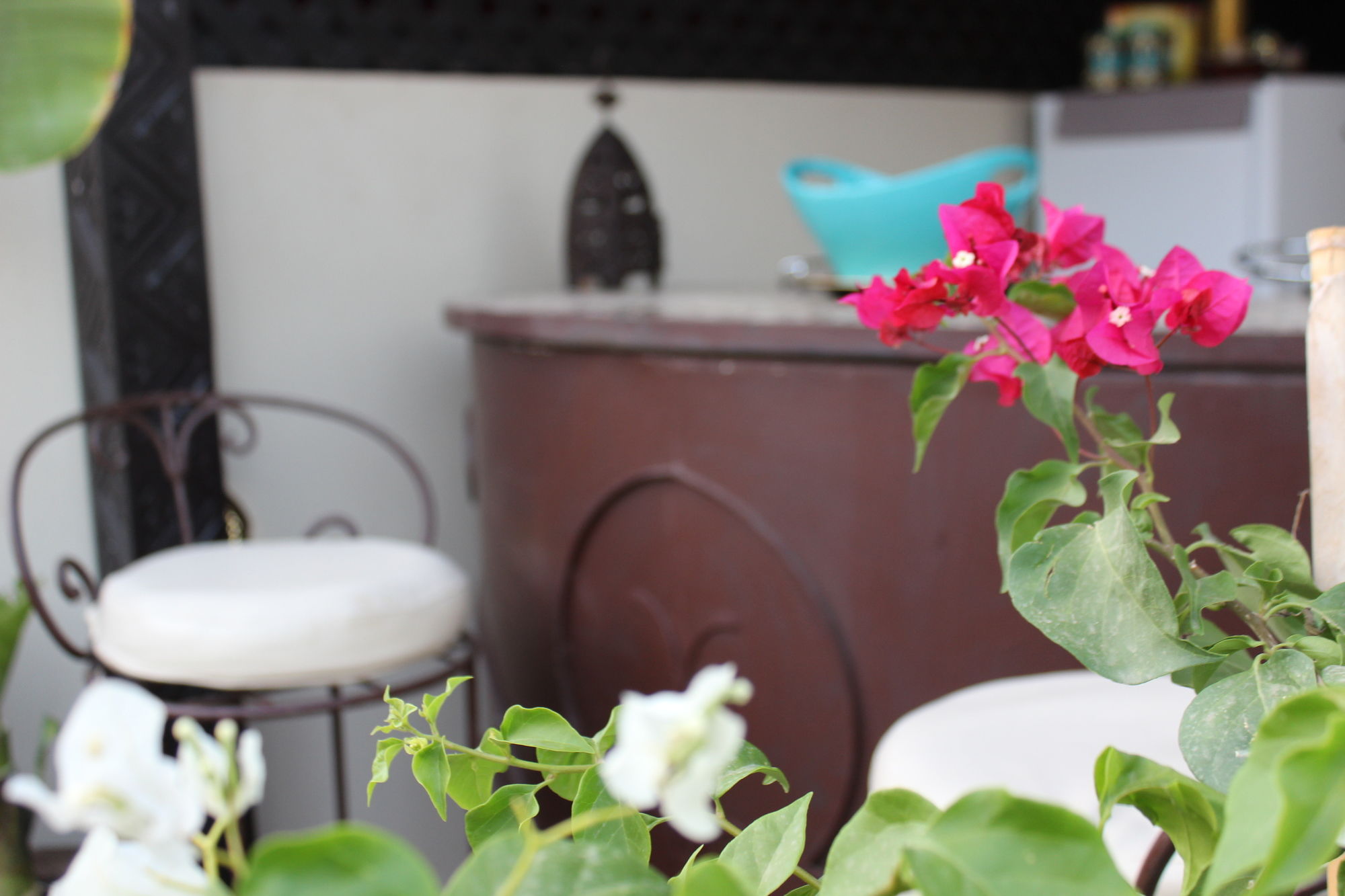 Фото Riad Reve D'or