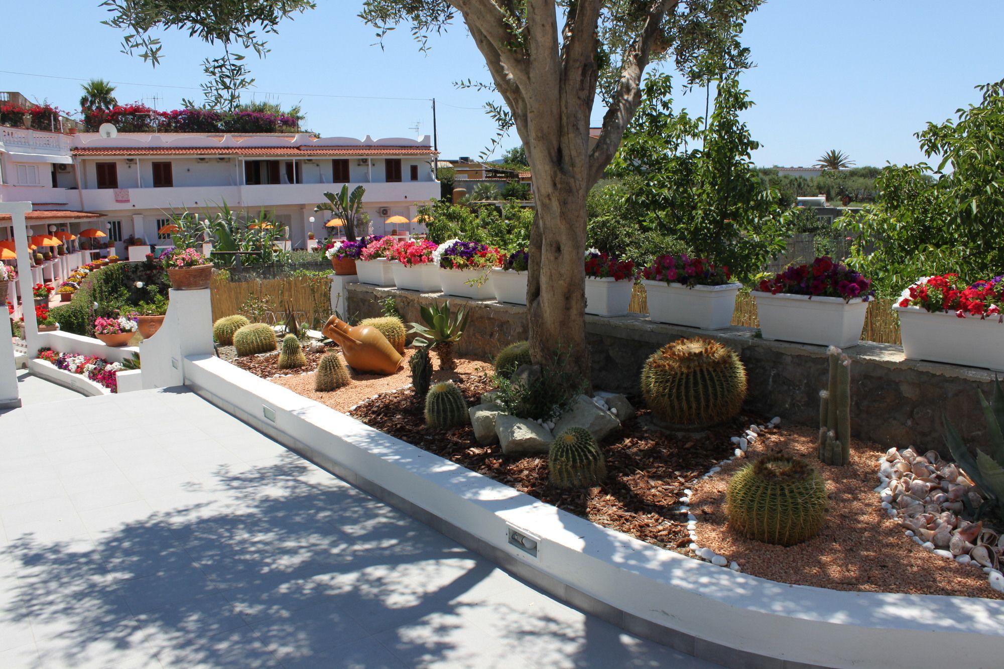 Фото Mareco Resort