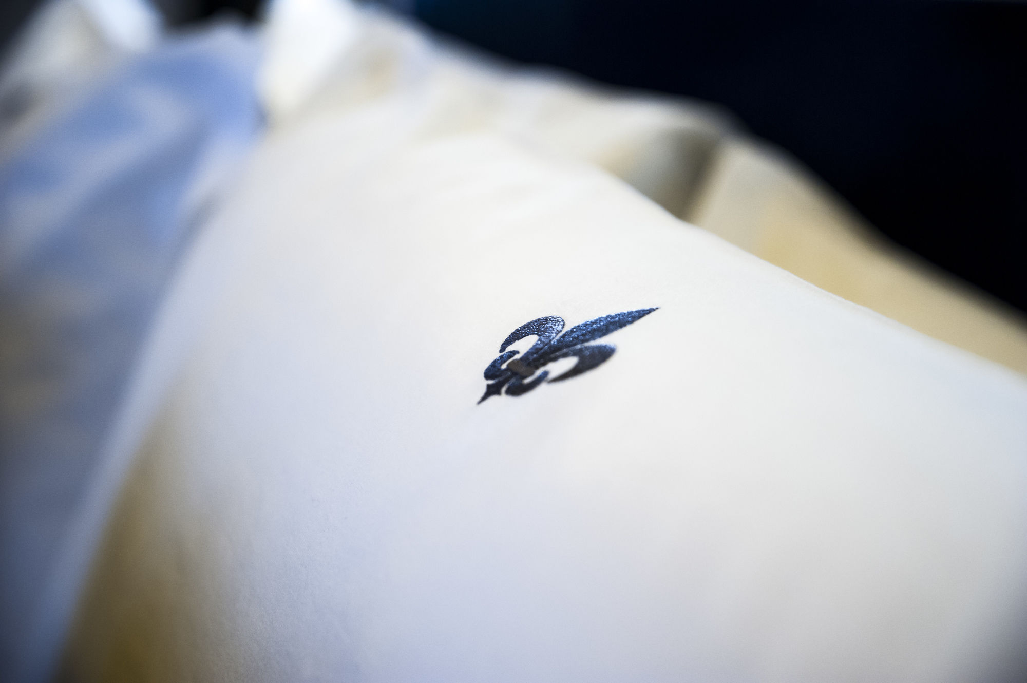 Фото Roma Luxus Hotel