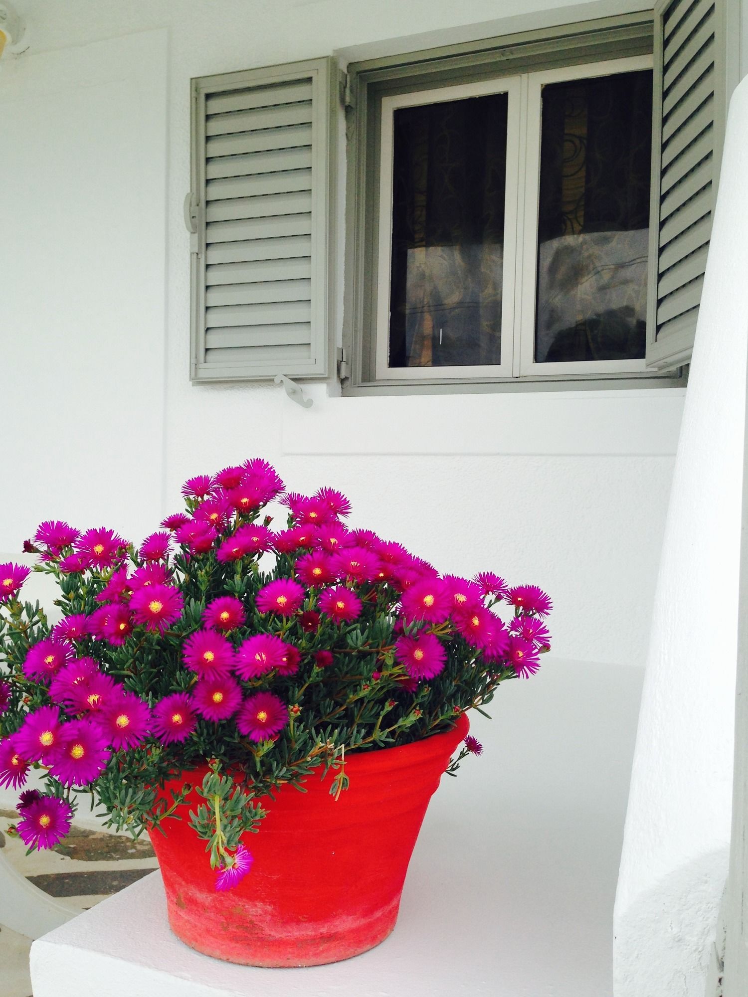 Фото Margarita Studios Ambelas