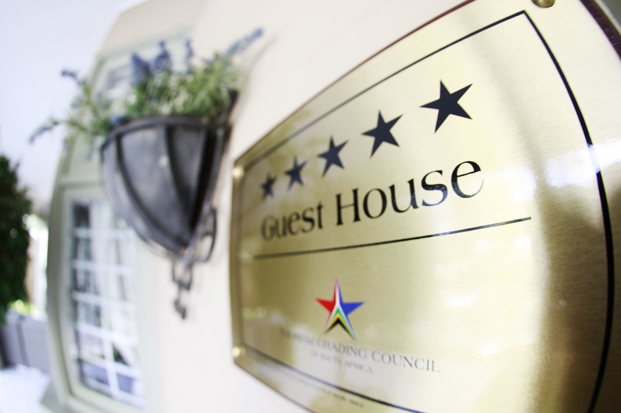 Фото Oleander Guest House