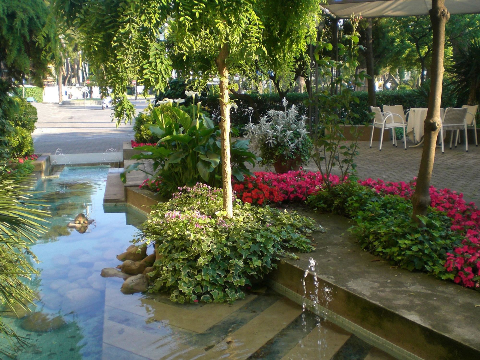 Фото Hotel Stella