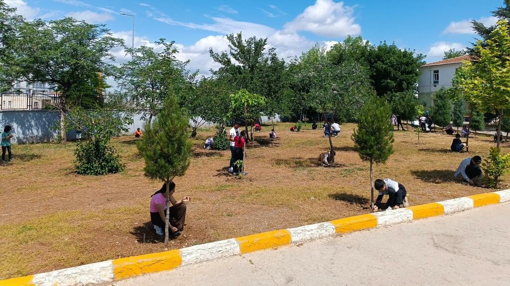 School Ataturk Middle School, Cinar, photo