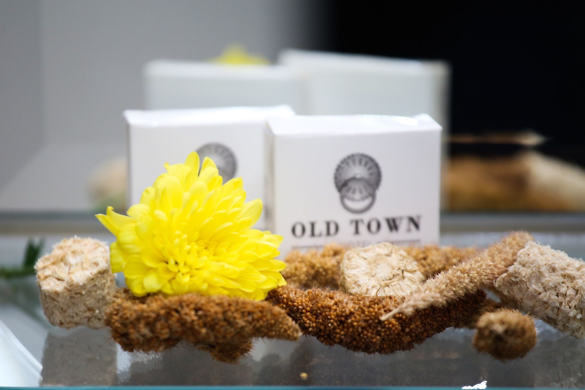 Фото Hotel Old Town