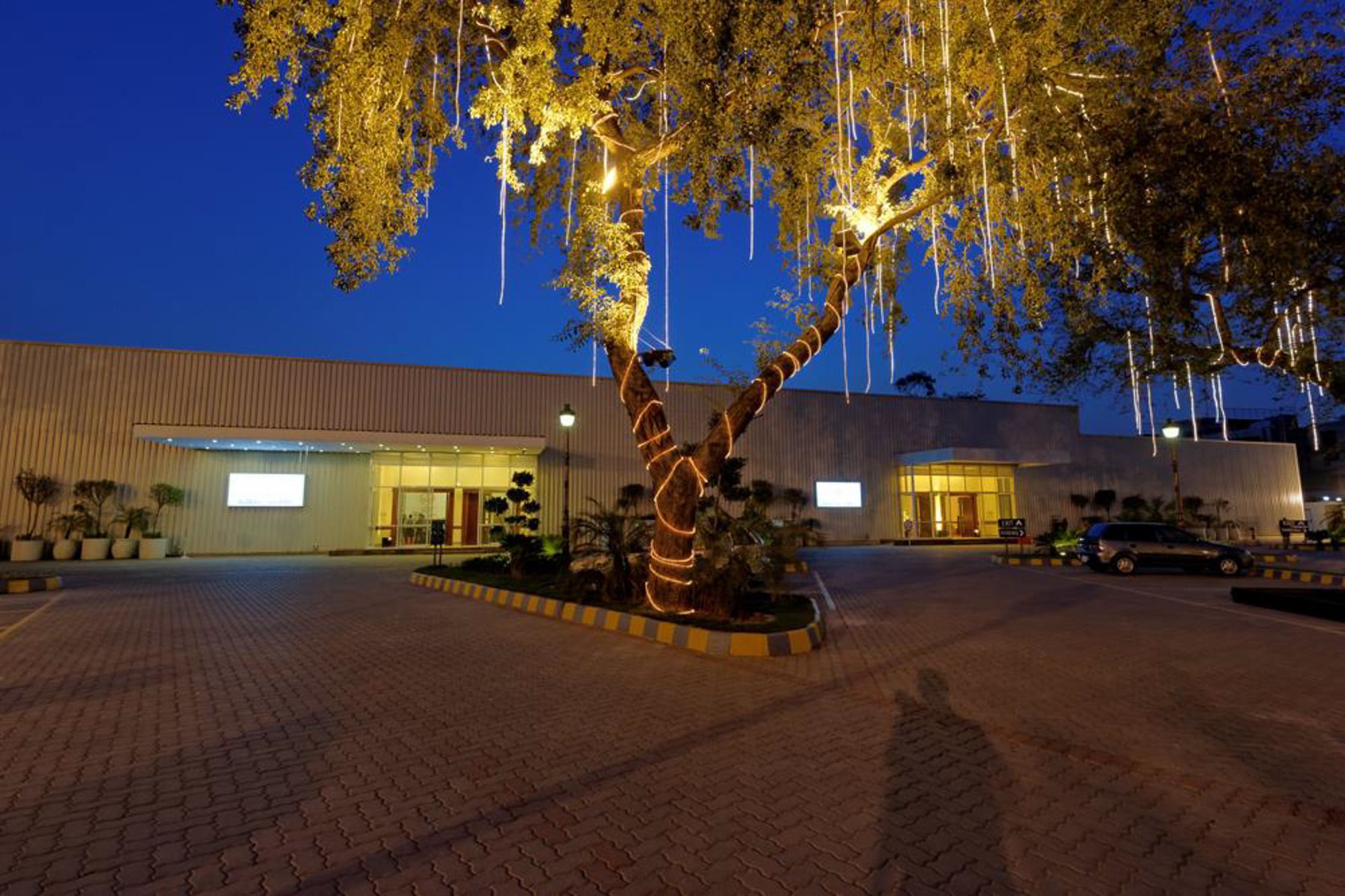 Фото Faletti's Hotel