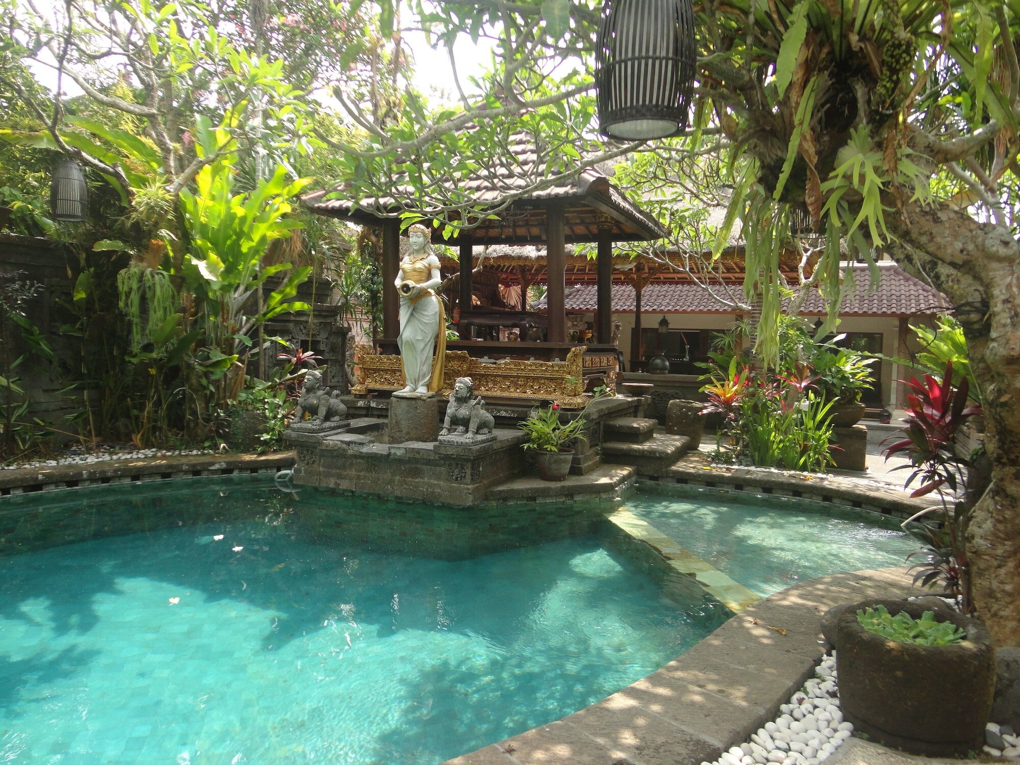 Фото Monkey Forest Bungalow