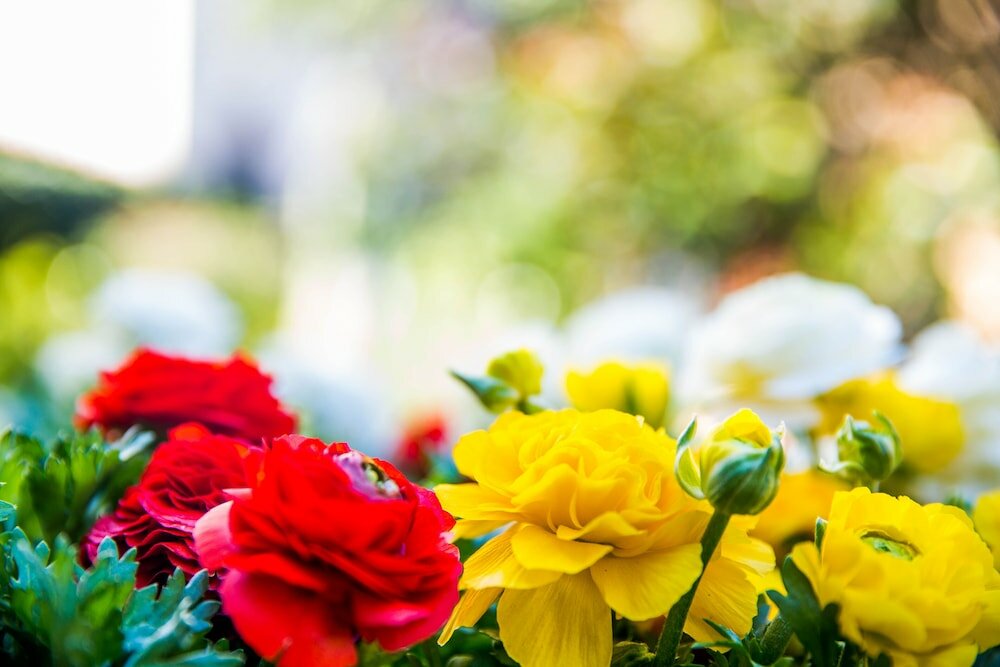 Фото Hotel Monna Lisa