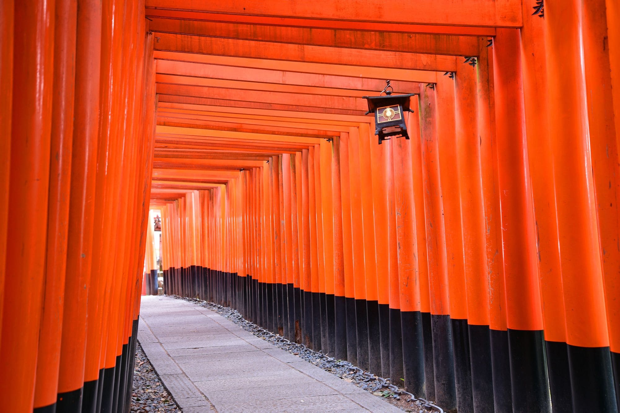 Фото VIA Inn Prime Kyotoeki Hachijoguchi