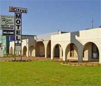 Гостиница Citrus Motel в Гриффите