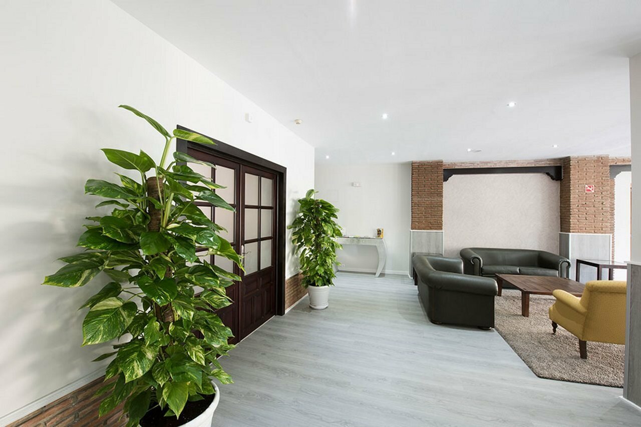 Фото Hotel Toboso Chaparil