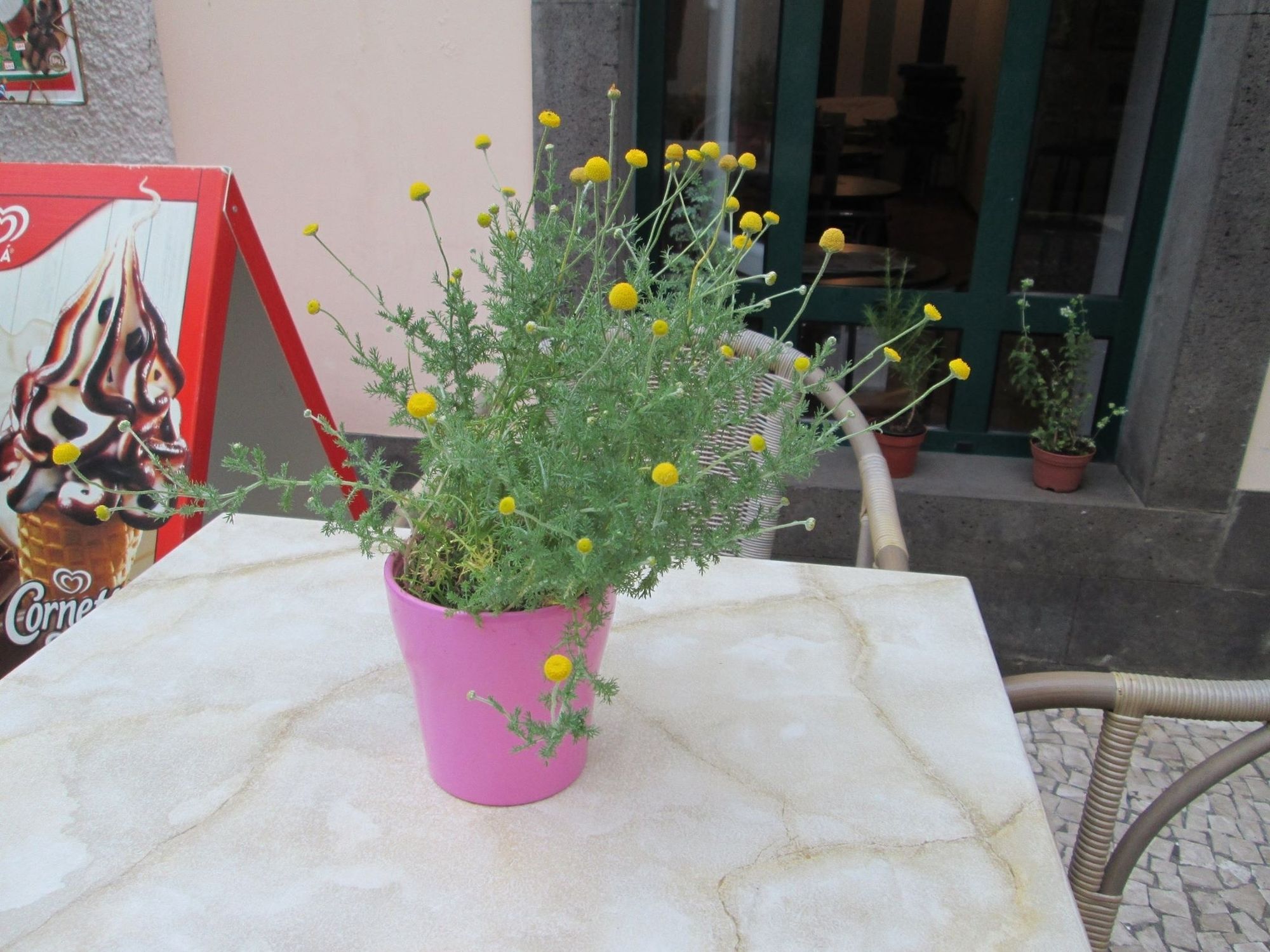 Фото Residencial Amparo