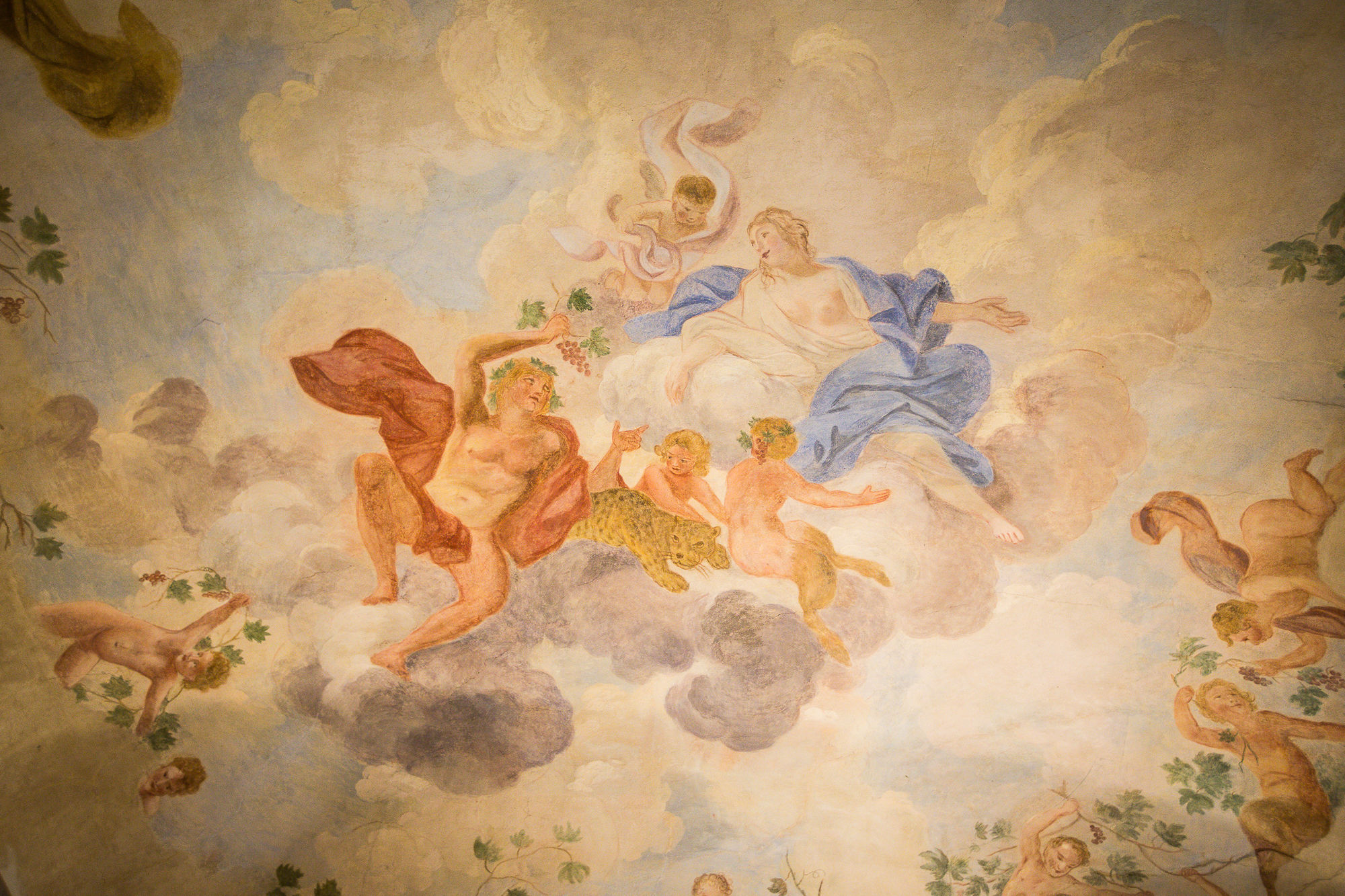 Фото Hotel Burchianti