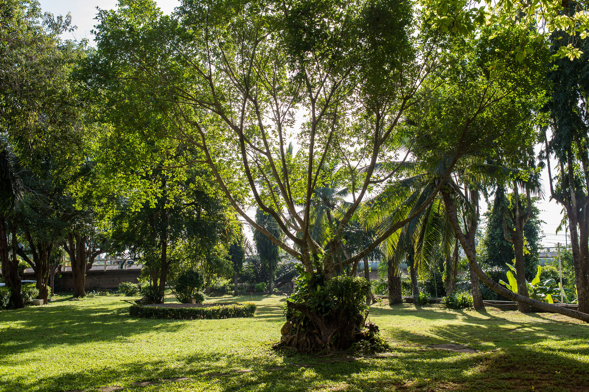 Фото Wangtai Hotel