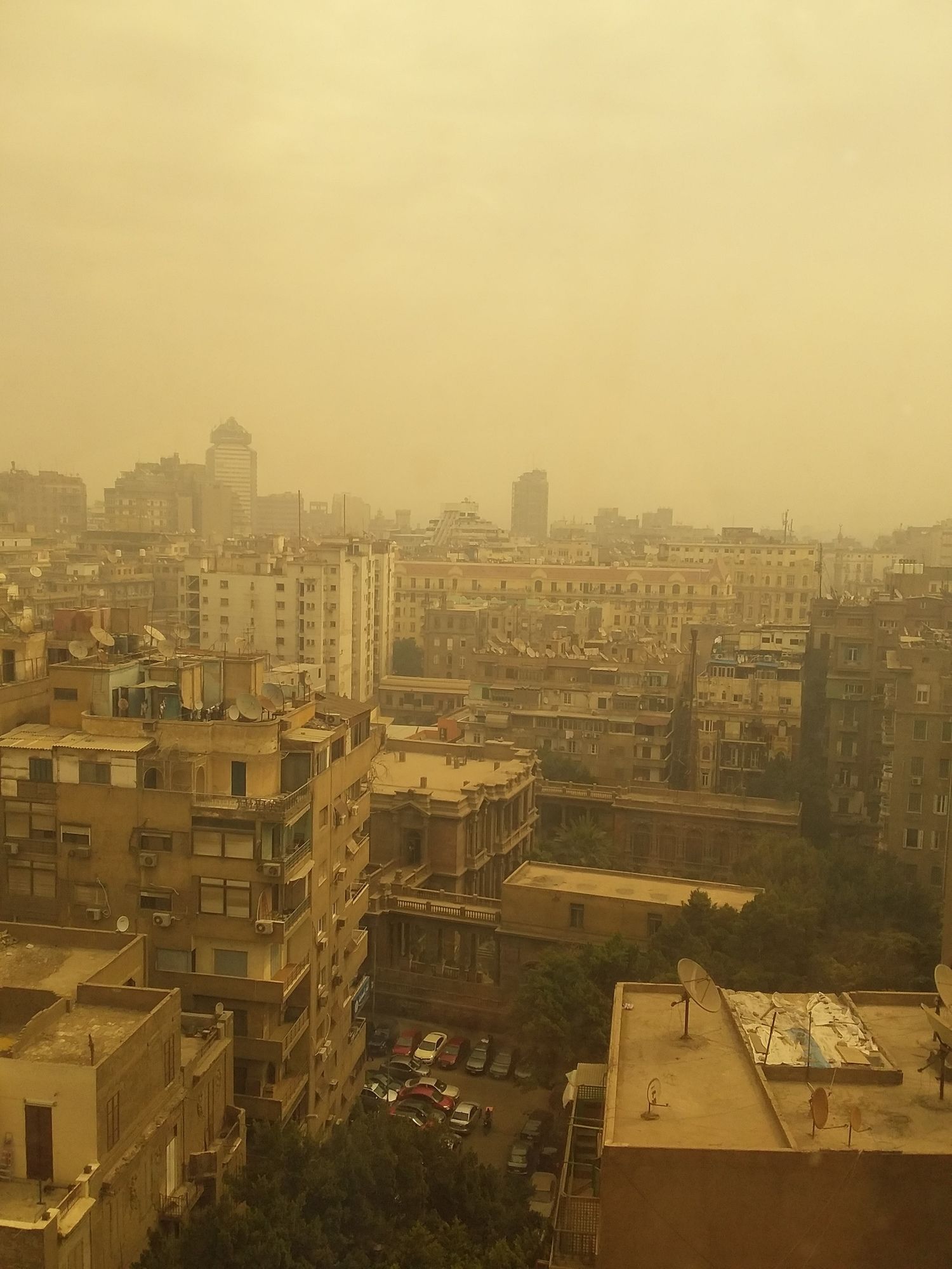 Фото 40721352384