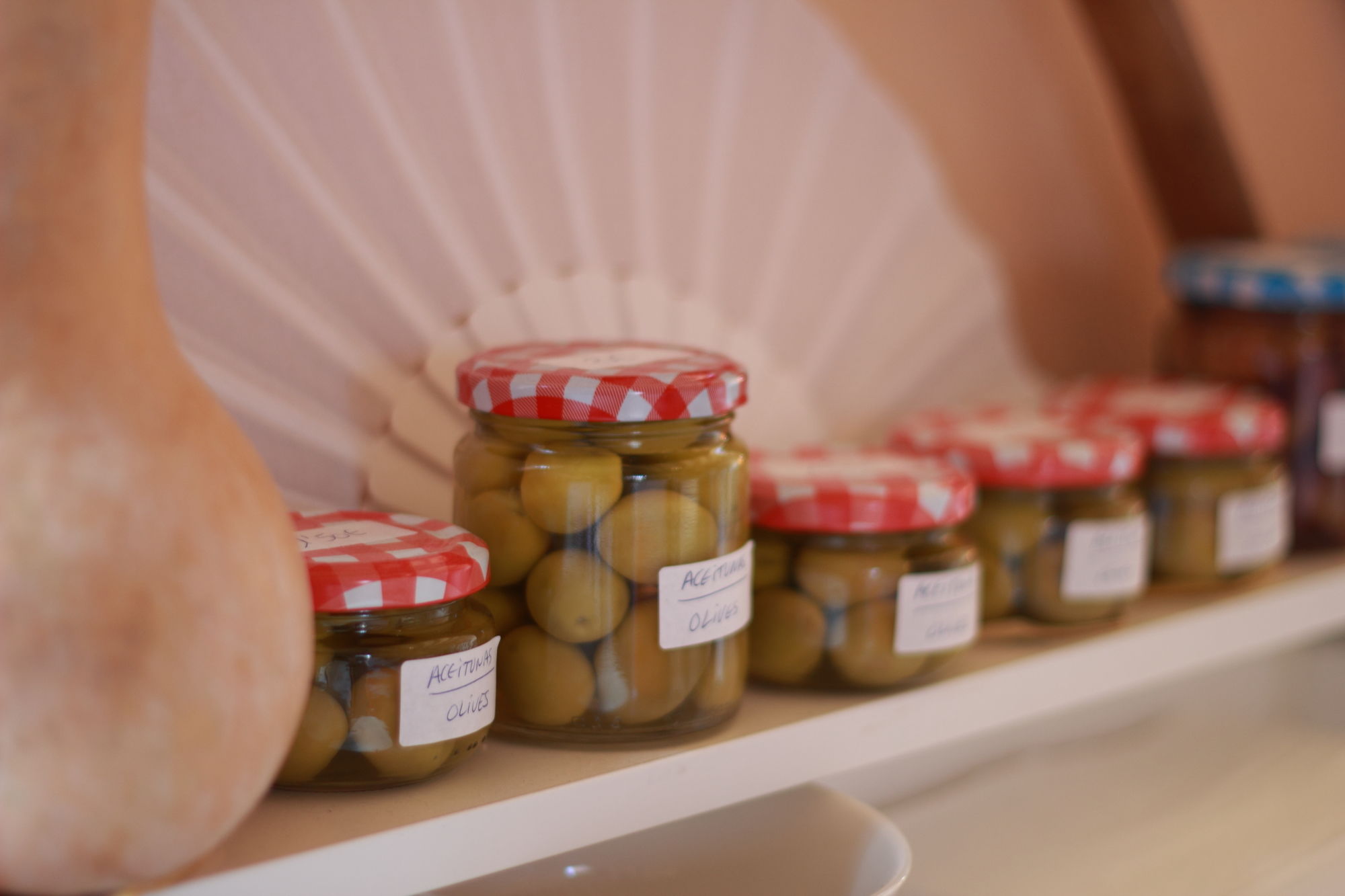 Фото Petit Hotel Algaida