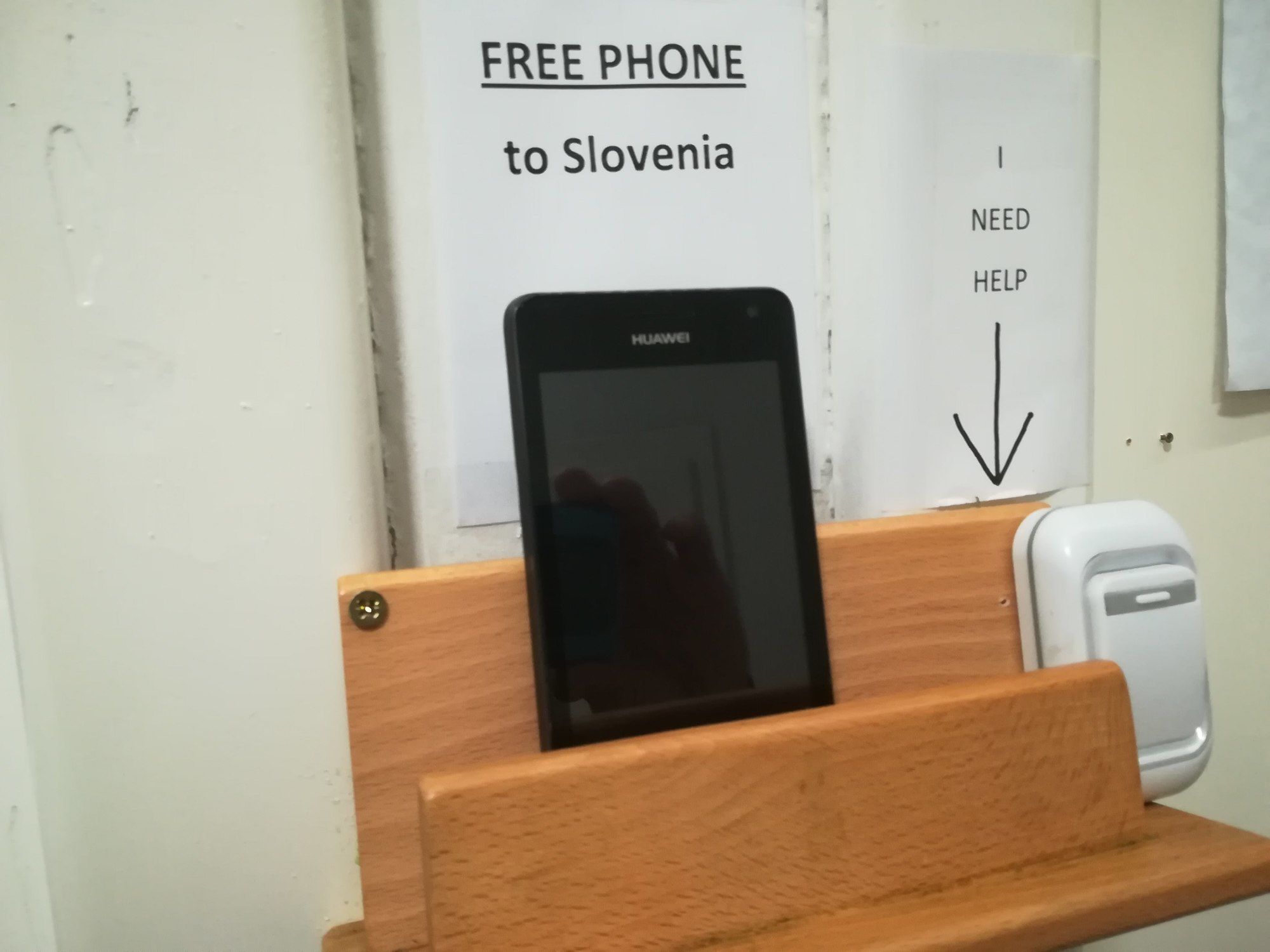 Фото Family Guesthouse GreenSLO