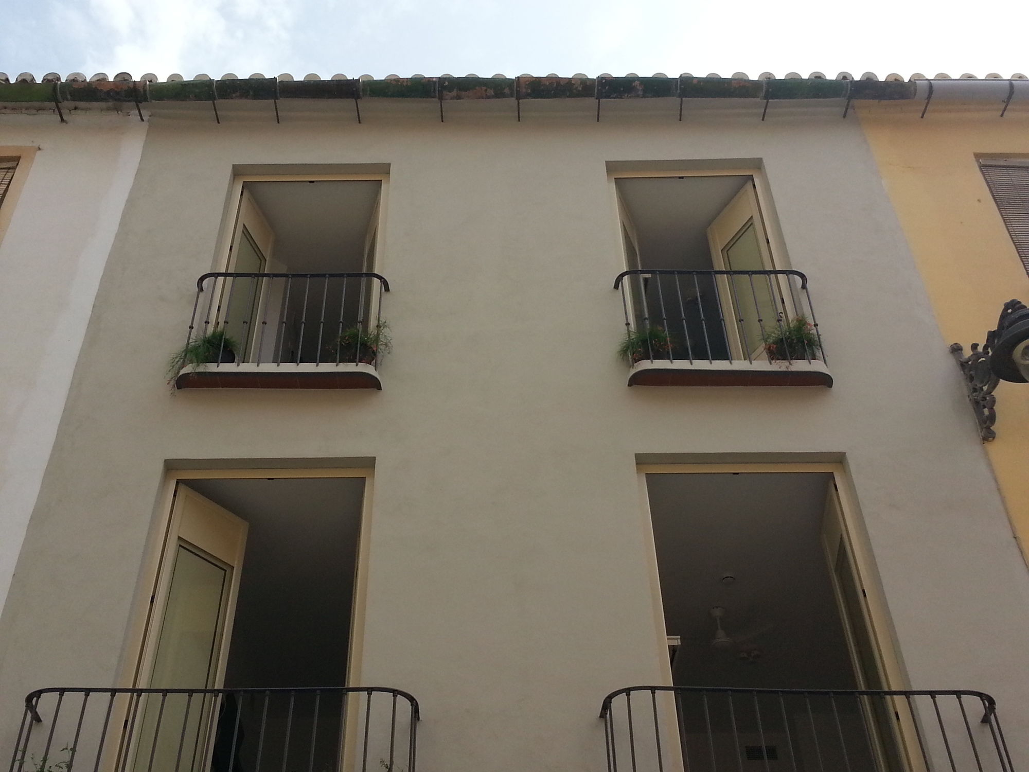 Фото La Siesta Málaga Guesthouse