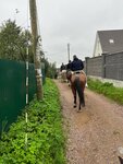 Konny klub Uspeh (derevnya Khirvosti, Tsentralnaya ulitsa, 42) ، ركوب الخيل