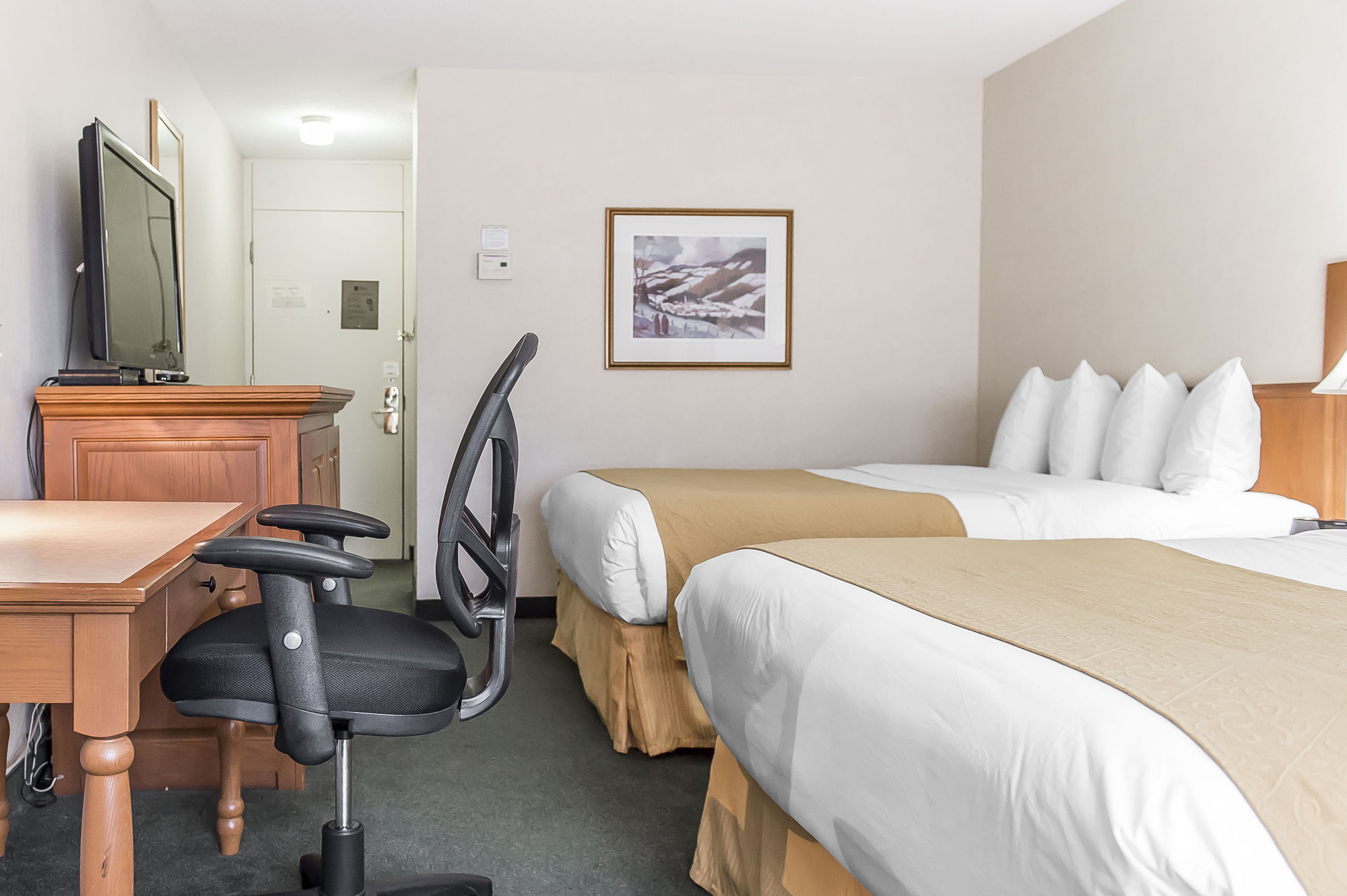 Фото Quality Inn & Suites & Conference Centre