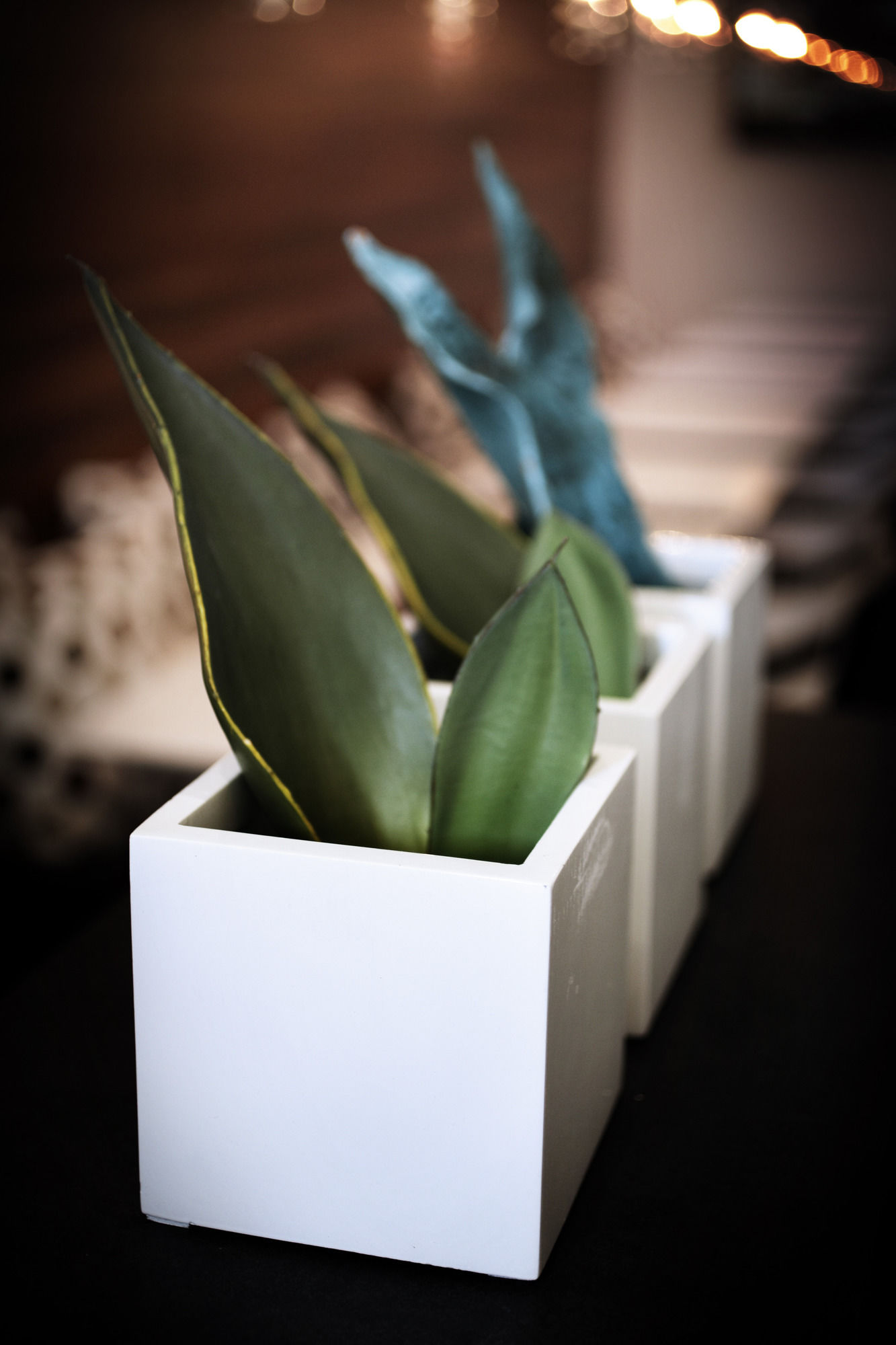 Фото Q Hotel