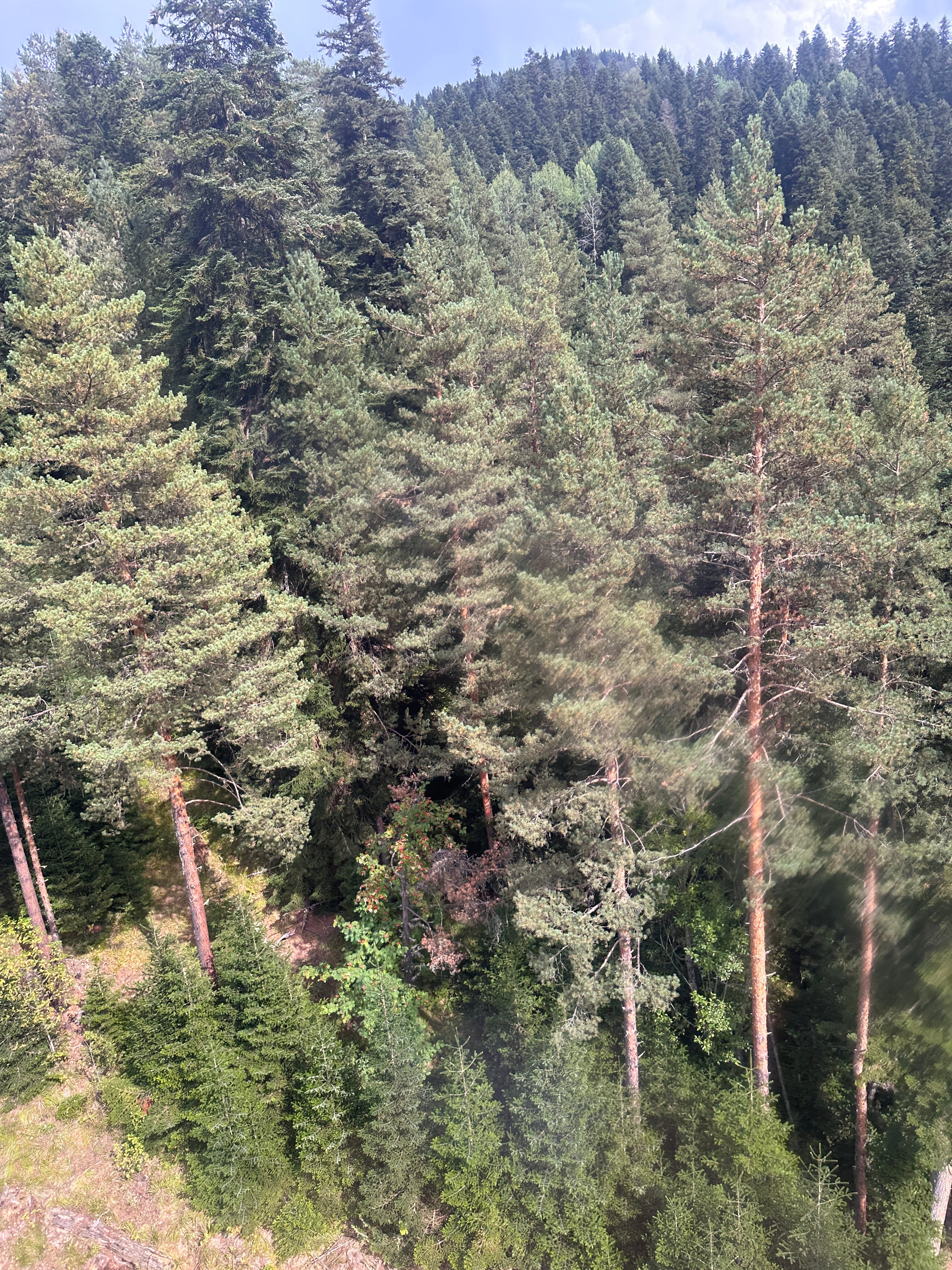 Фото Nart el Shale