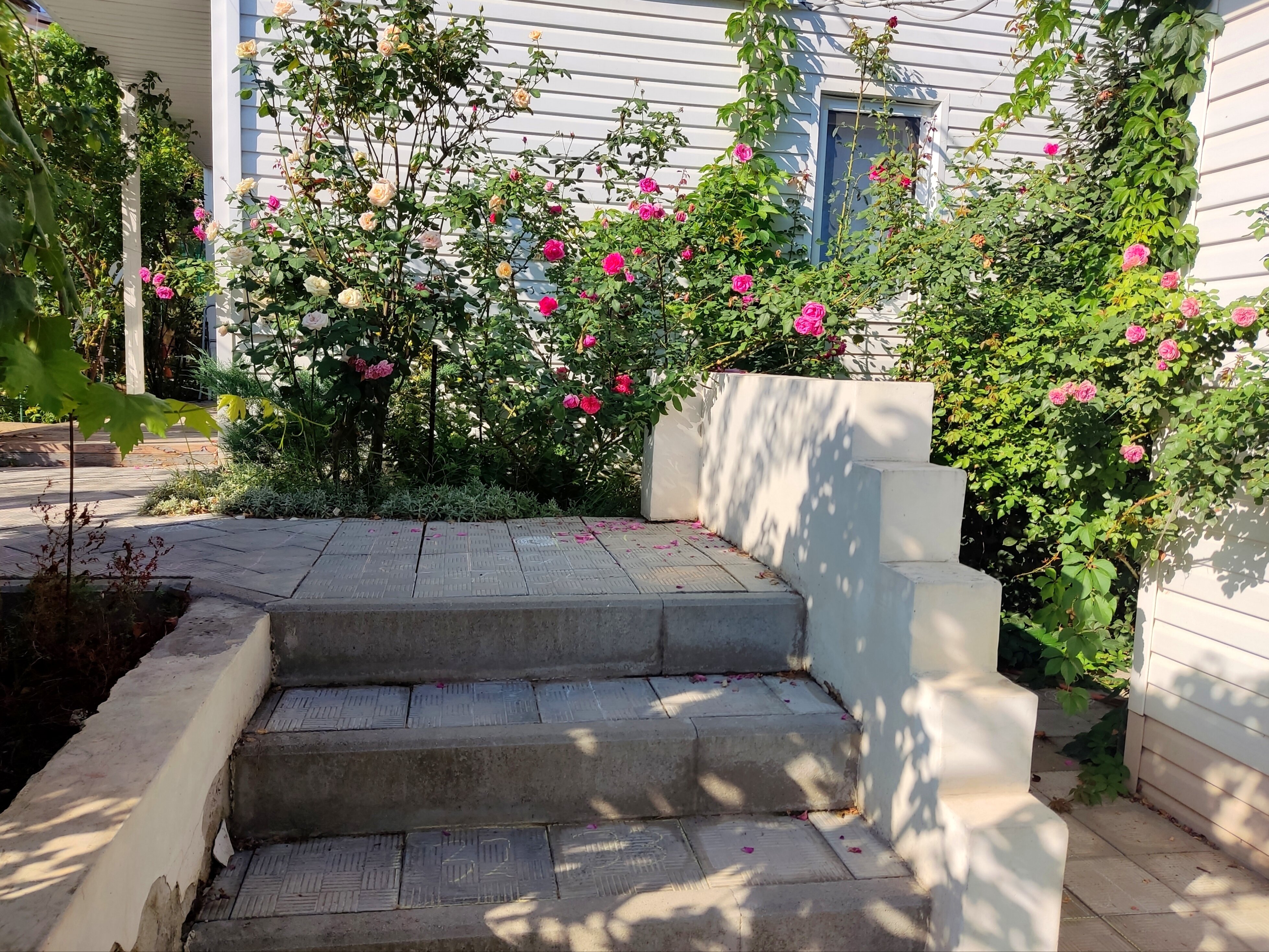 Фото Дом Куклиных