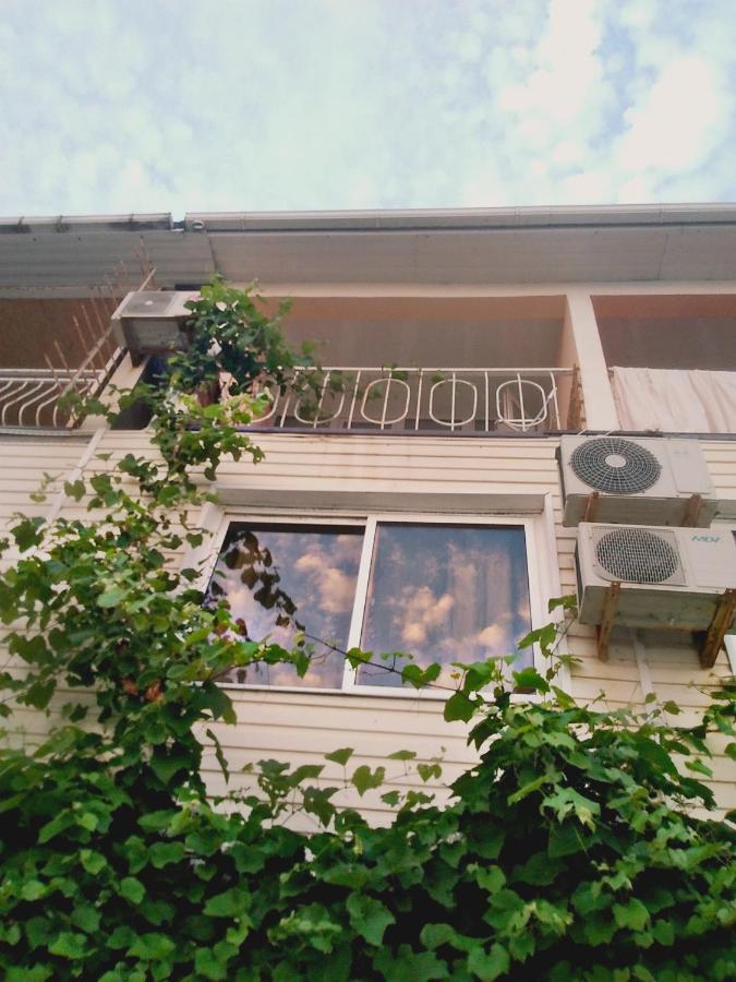 Фото Солнечный