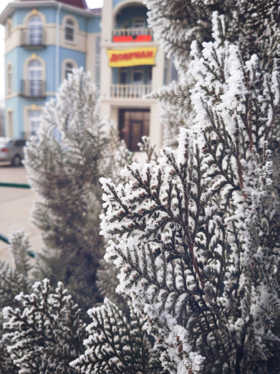 Фото Добриан