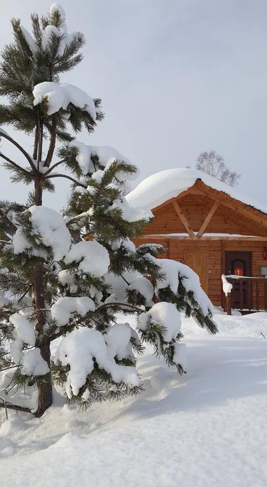 Фото Тайнинская слобода