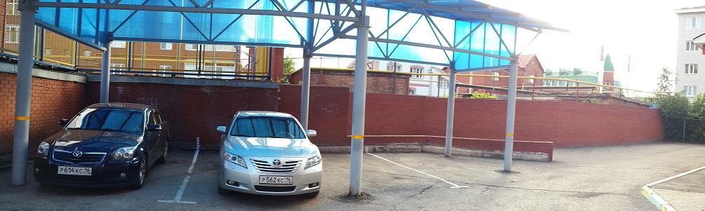 Фото Виардо