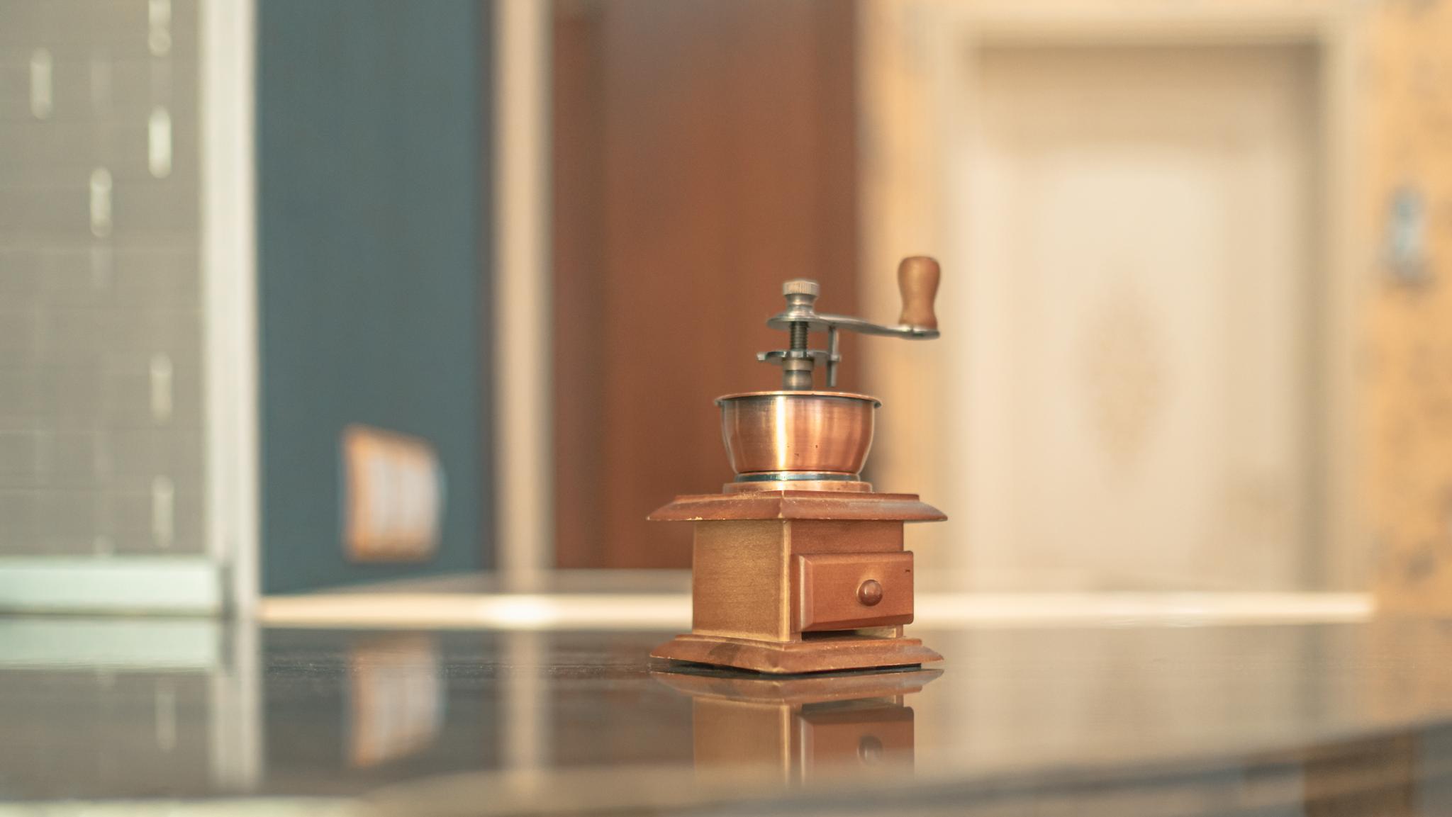 Фото Форест