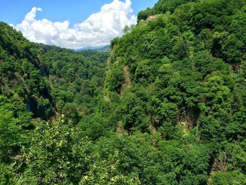 Иное жильё Золотая пальма в Хосте