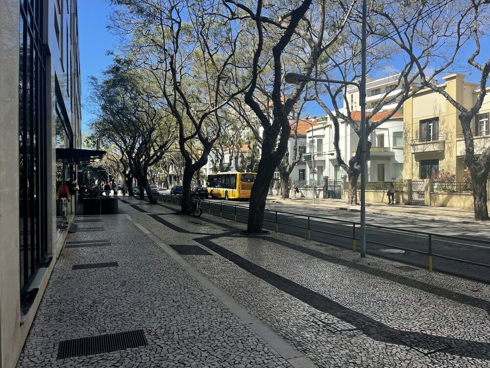 Фото 102185288666