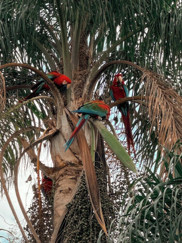 Фото Wild Wetlands Lodge