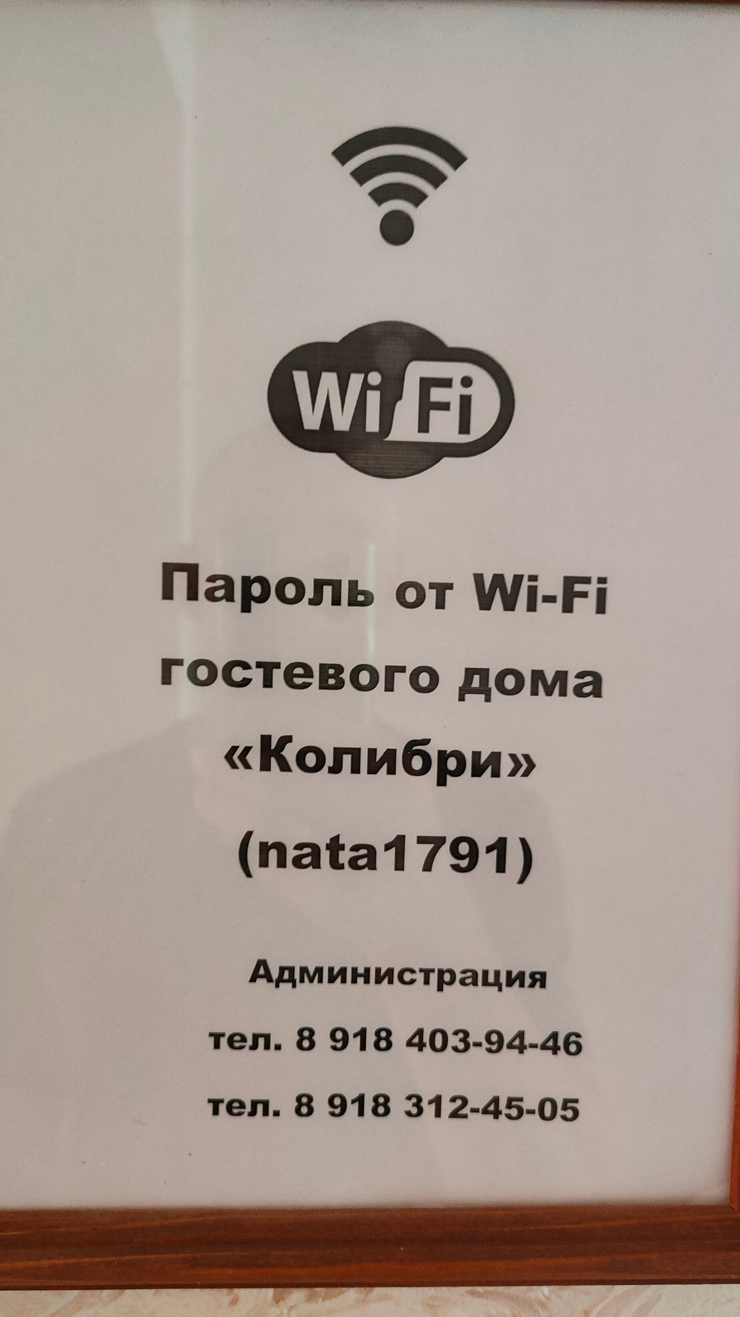 Фото Колибри