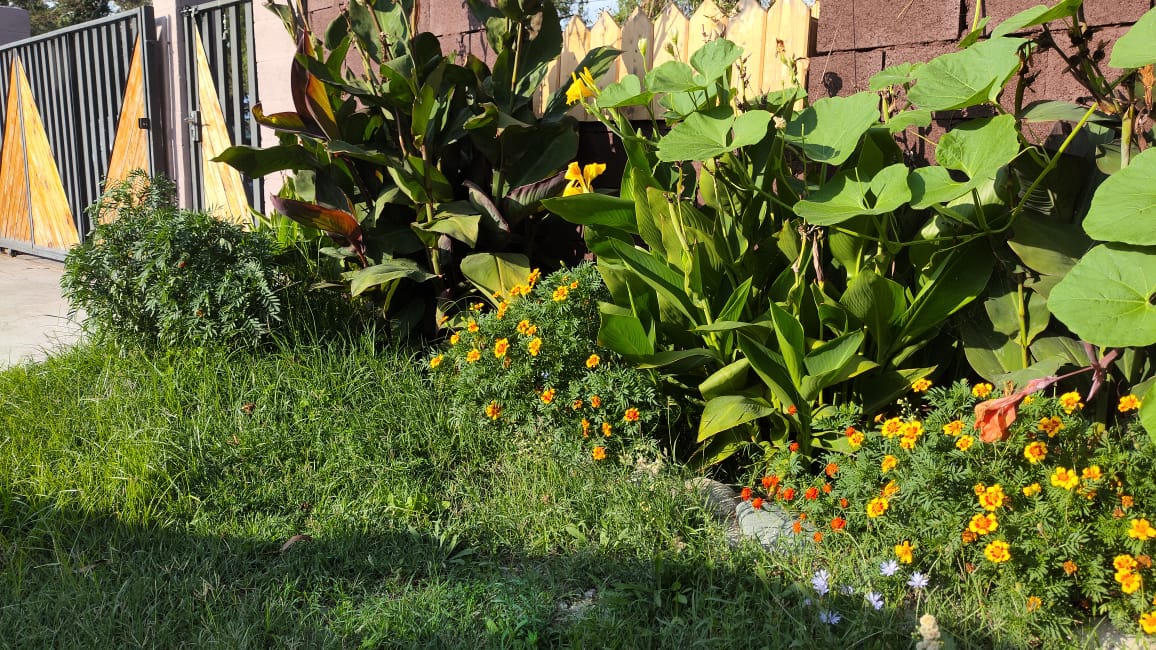 Фото База отдыха Асса