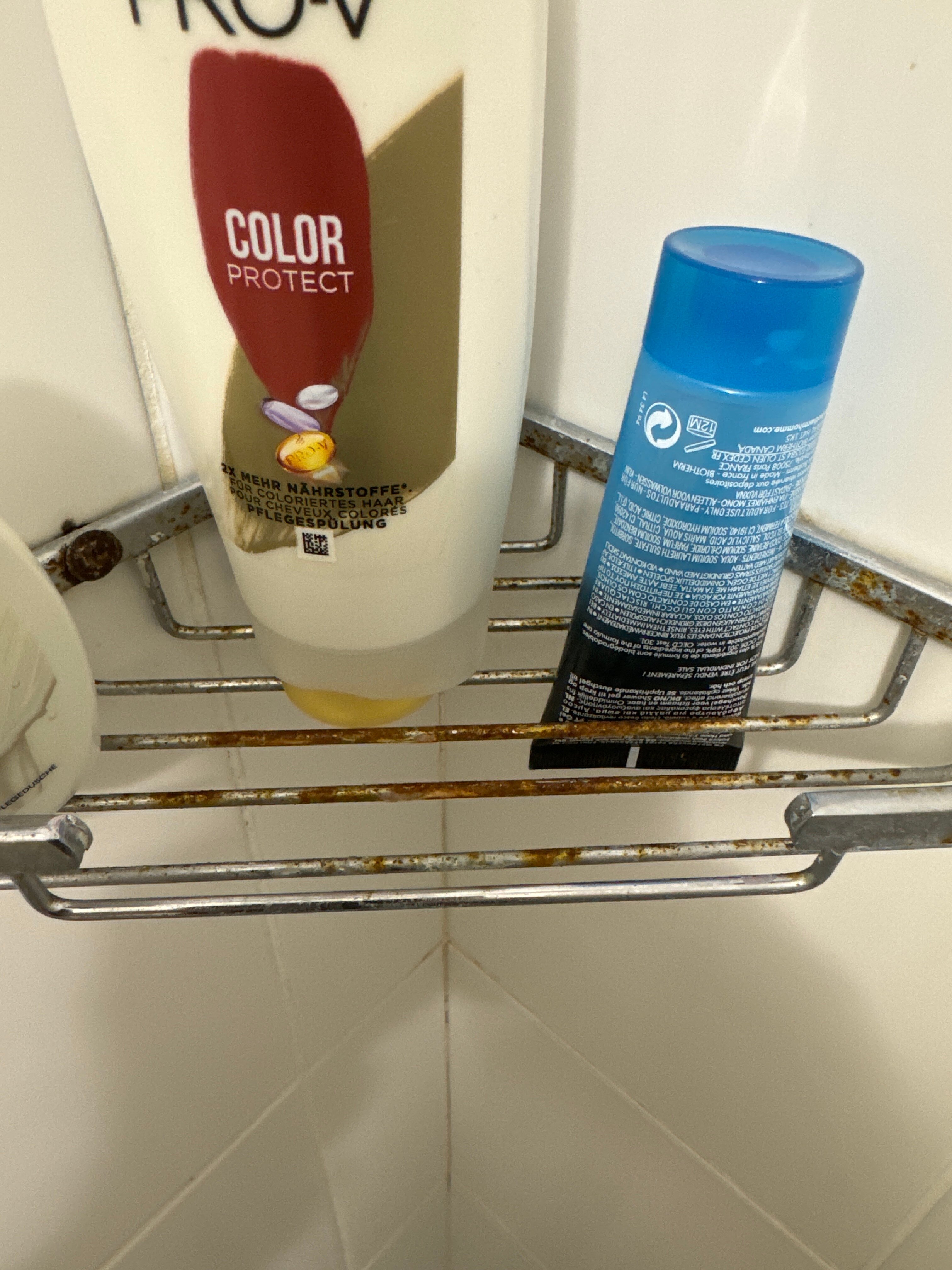 Фото Калина