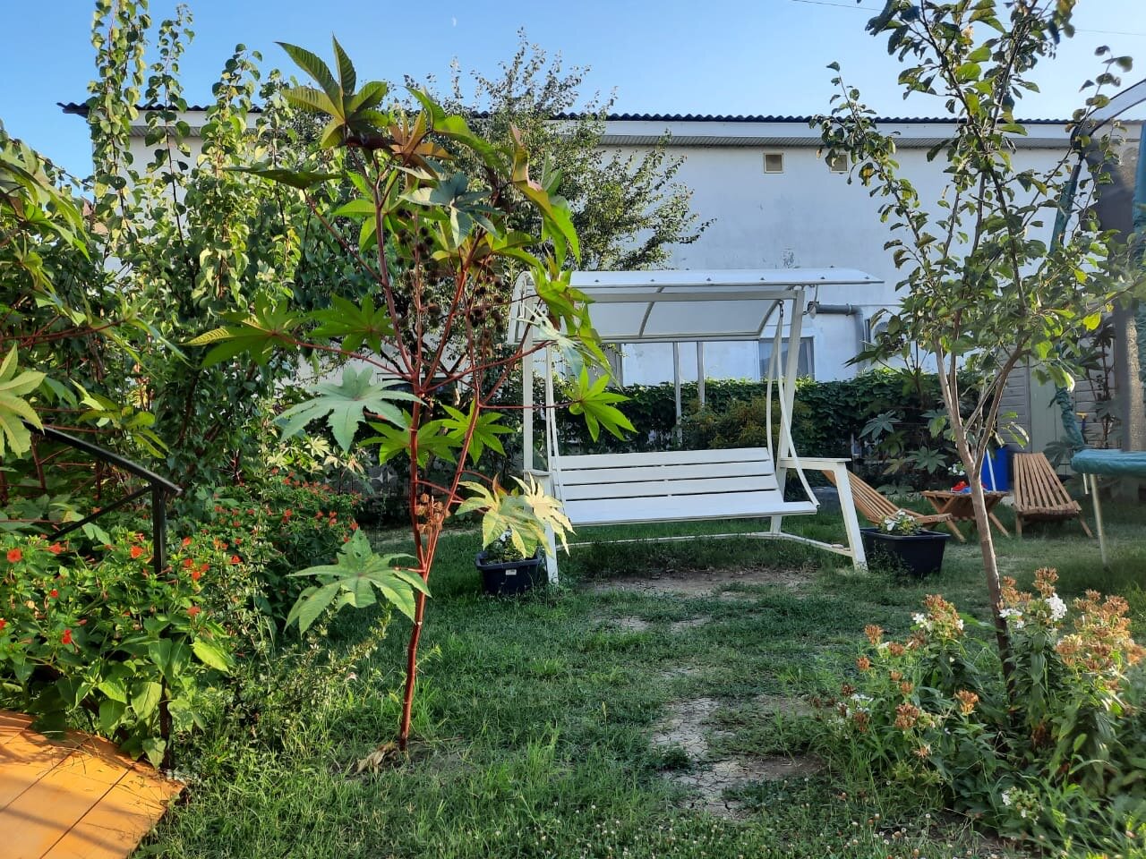 Фото Белая дача