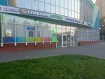 Yermolino (Zelenodolskaya Street, 25) ، محل بقالة