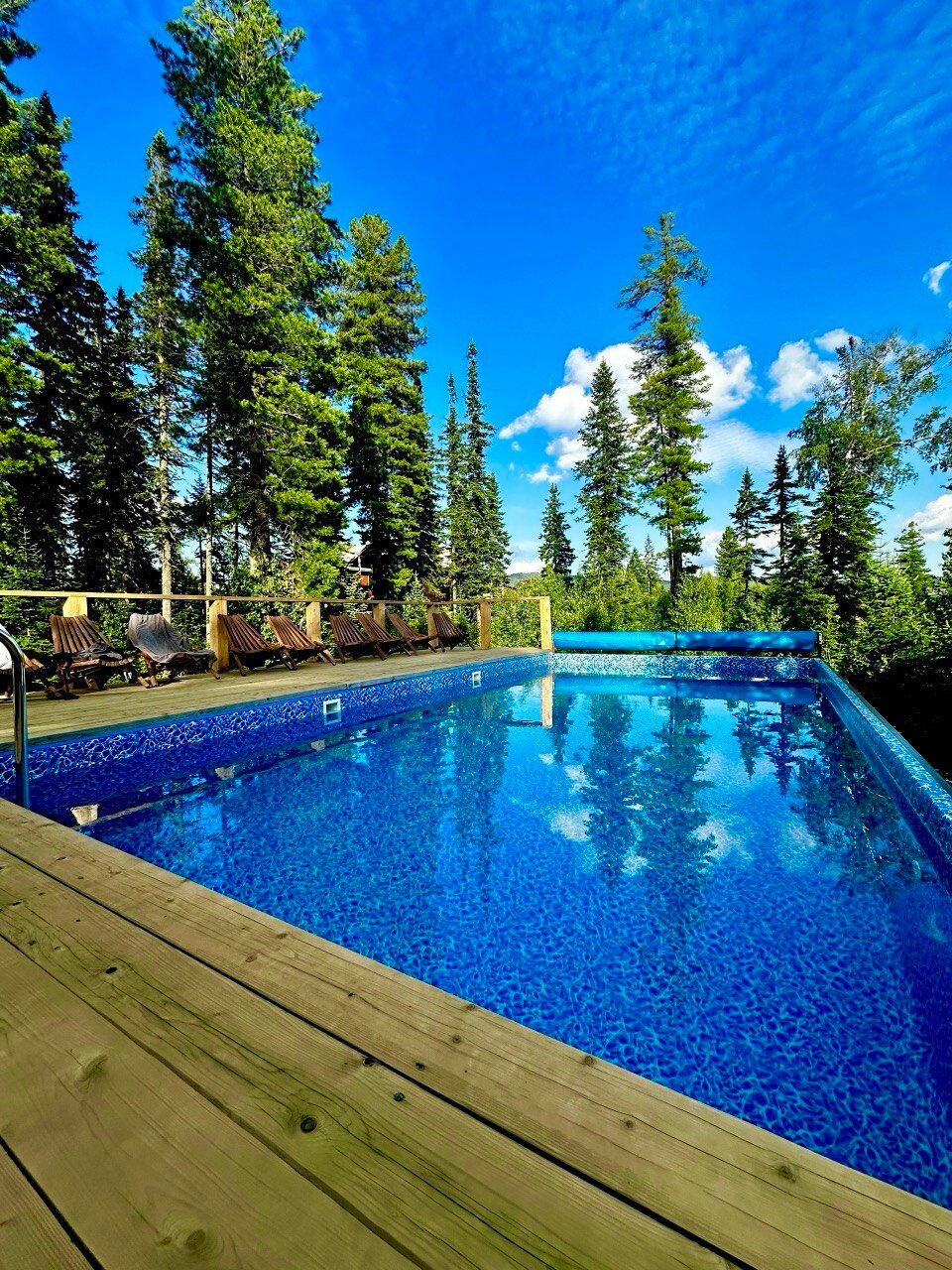 Фото Дом в кедрах