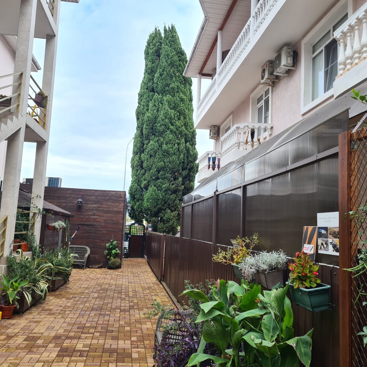 Фото Фигурный