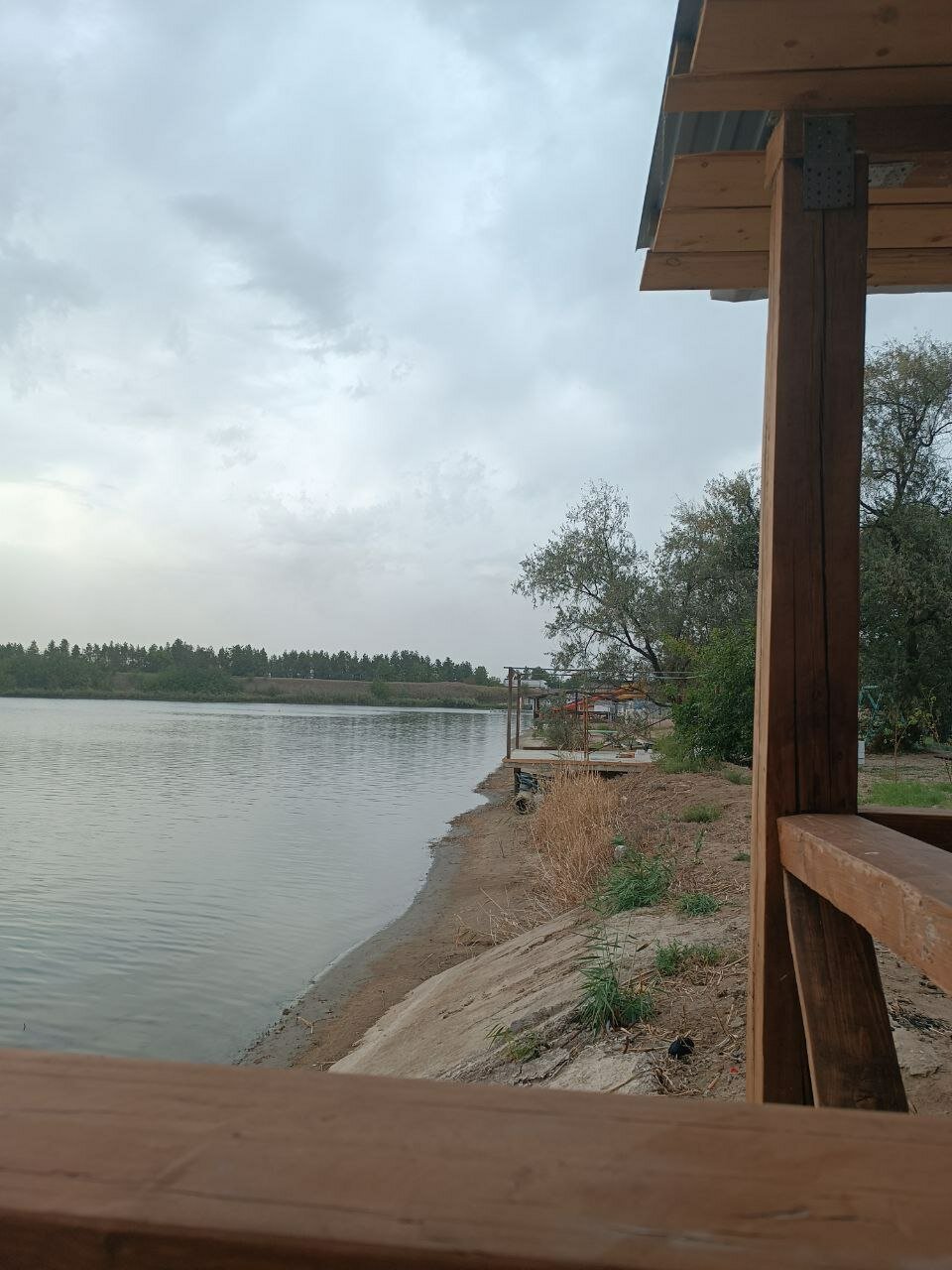 Фото Ягода-Малина