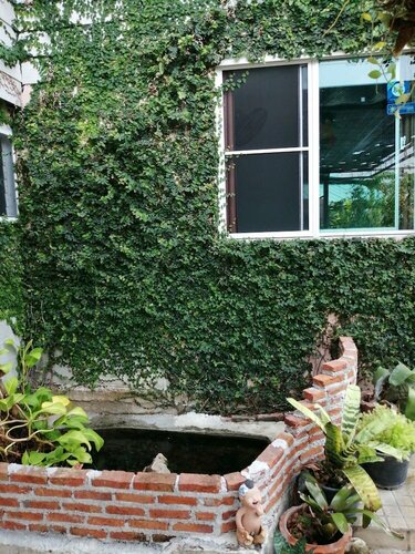 Гостиница Canaan Guesthouse в Канчанабури