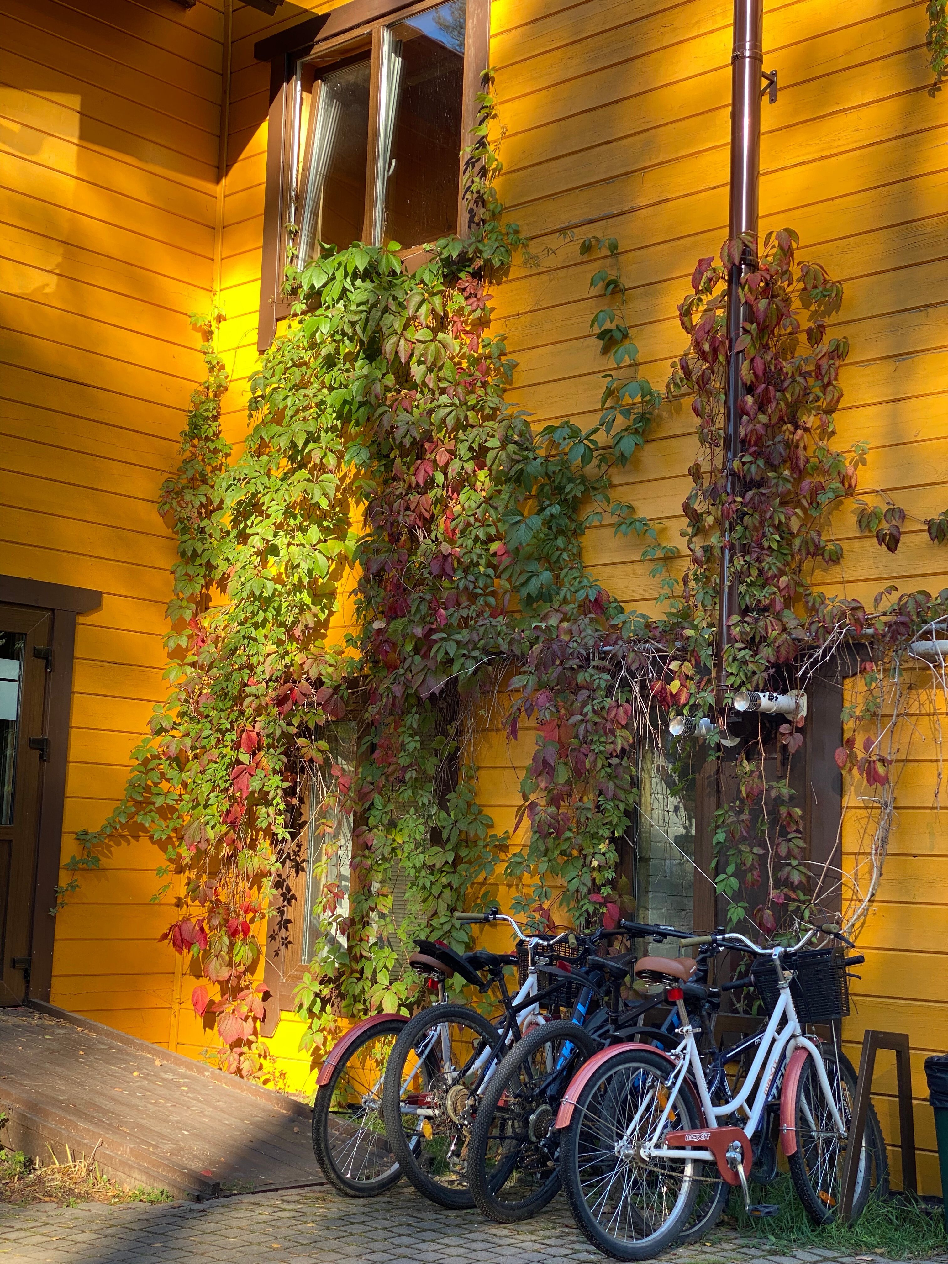 Фото 7 Пятниц