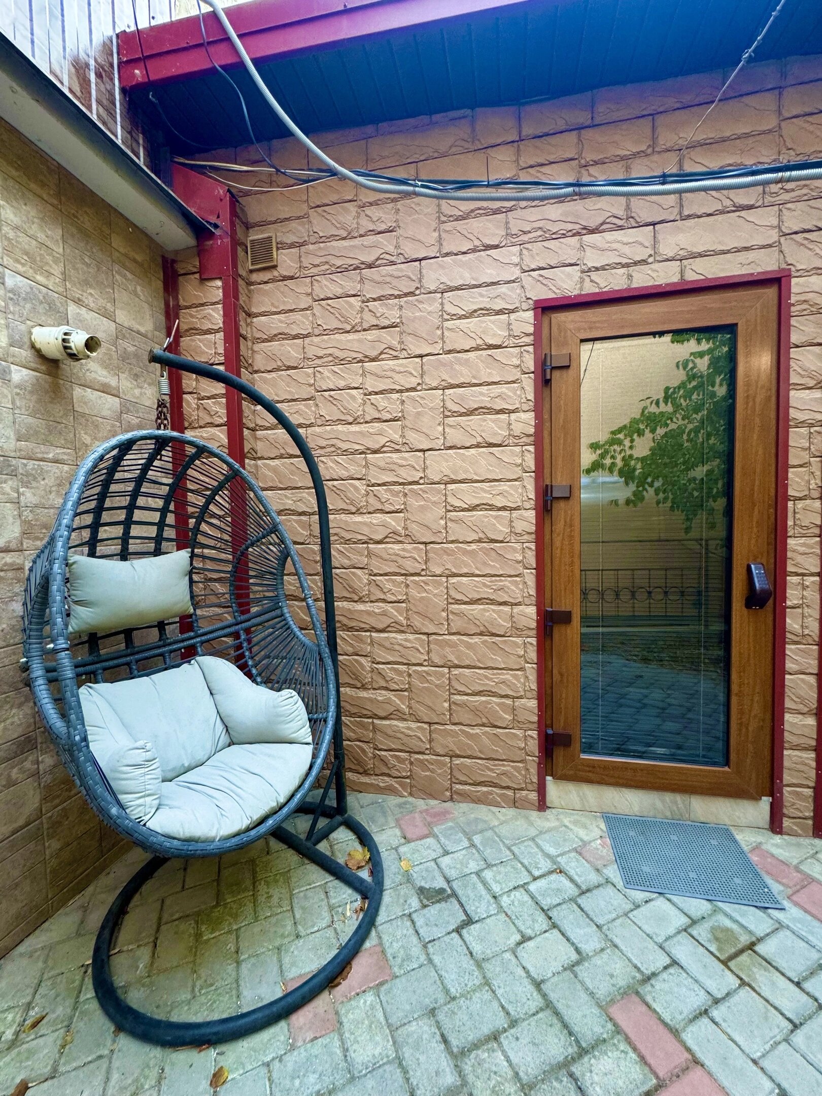 Фото Виноградная лоза